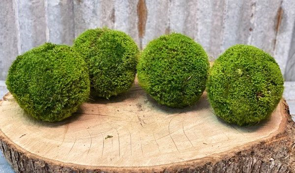 Moss Ball Md 5"